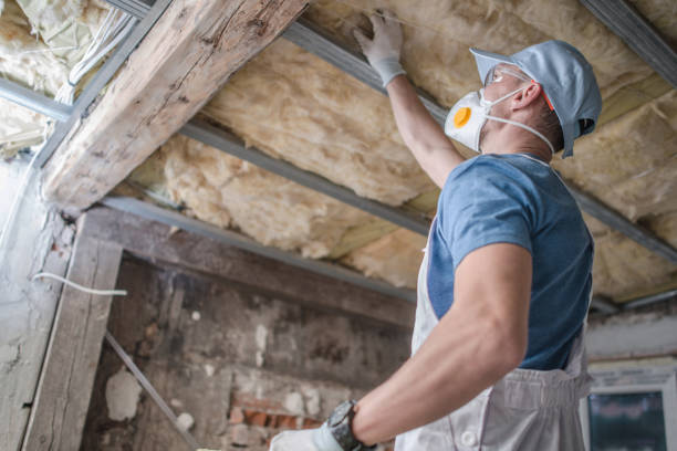 Best Insulation Maintenance and Repair in Frostproof, FL