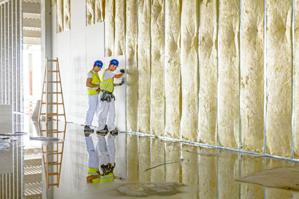Best Insulation for Specific Applications in Frostproof, FL